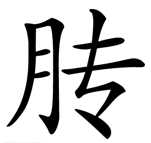 䏝